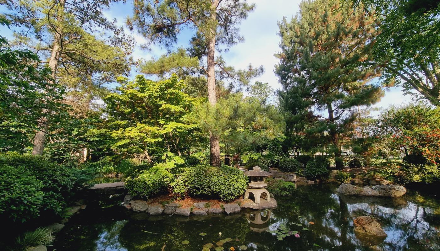 Jardín Japonés