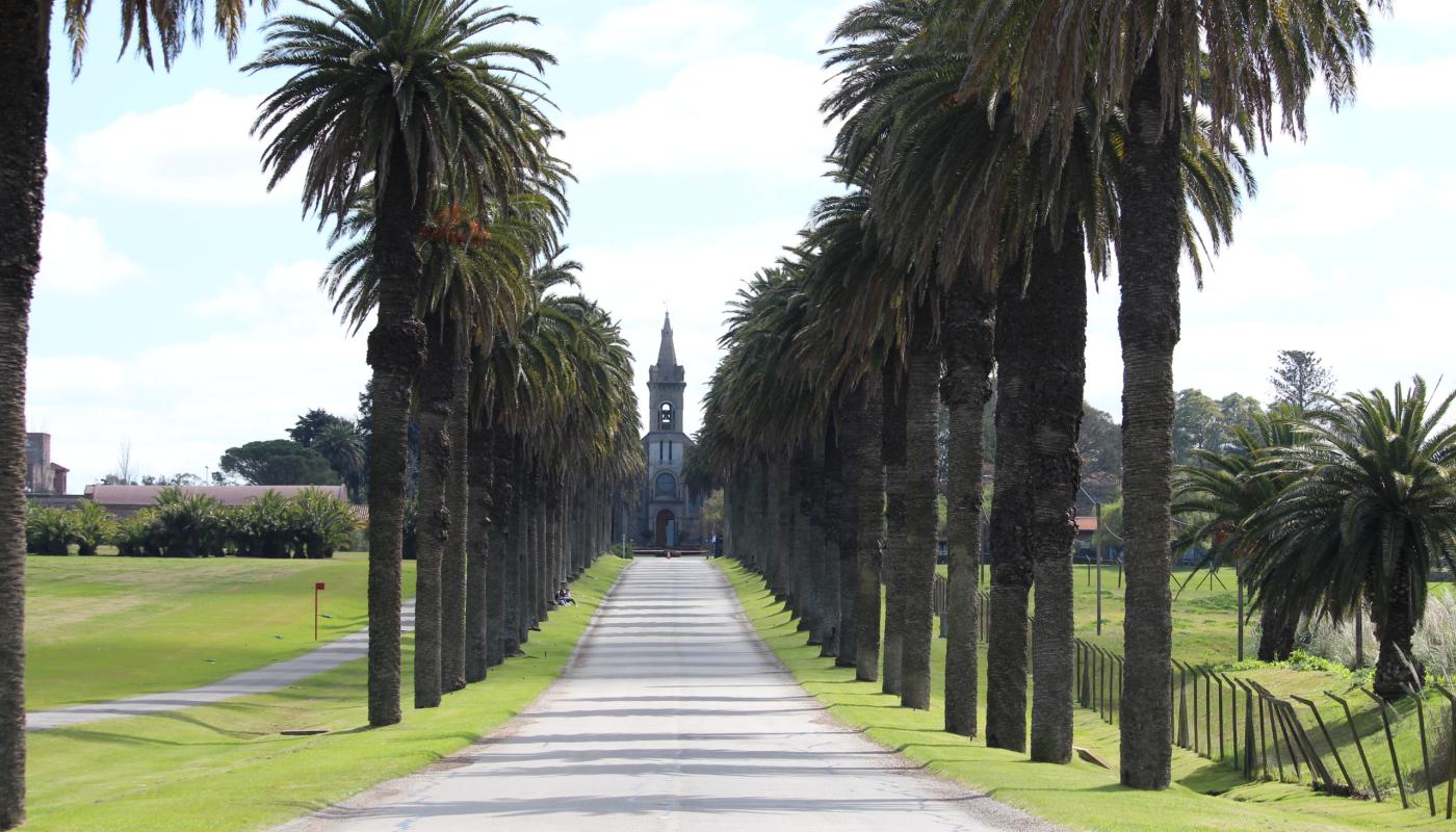 Municipio F