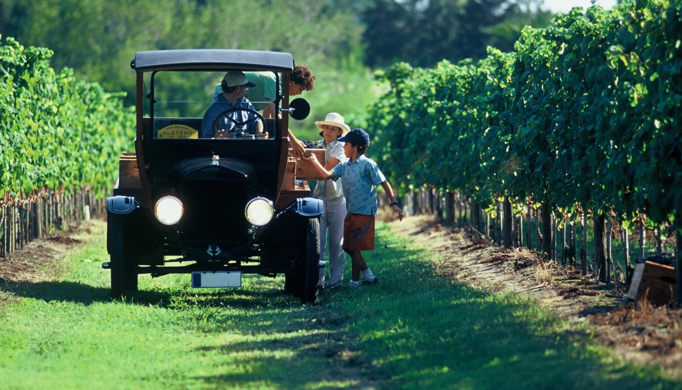 familia en bodega