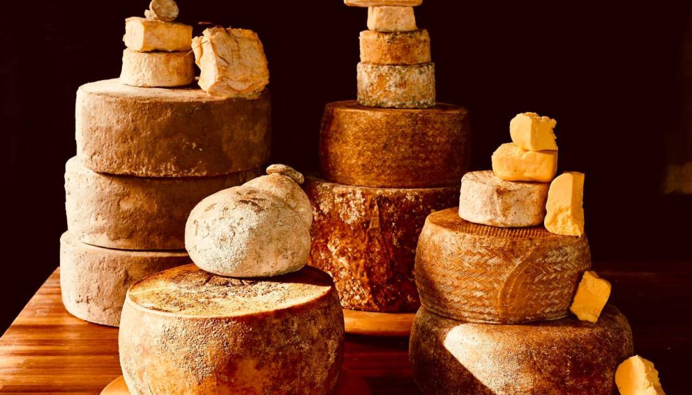 Foto con diferentes hormas de queso que son las que ellos elaboran