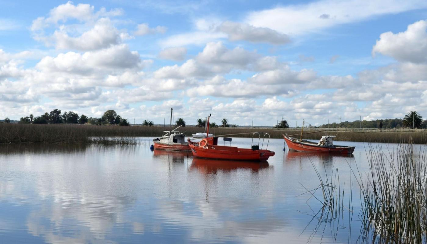 Foto del humedal y de los barquitos 