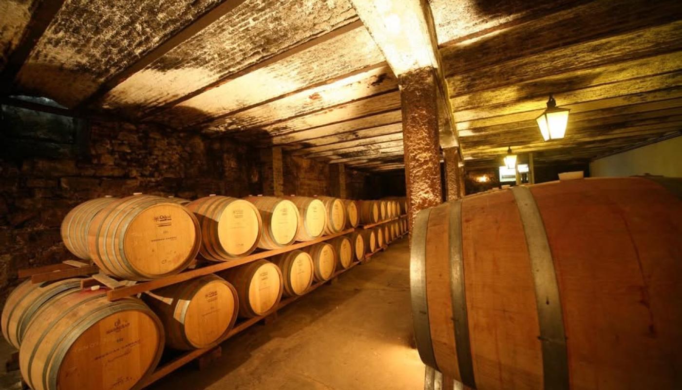 barriles en cava de bodega