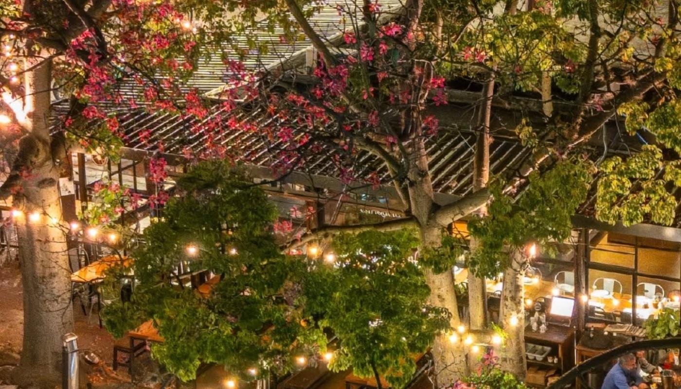 Foto desde arriba del restaurant a la noche con lucecitas 