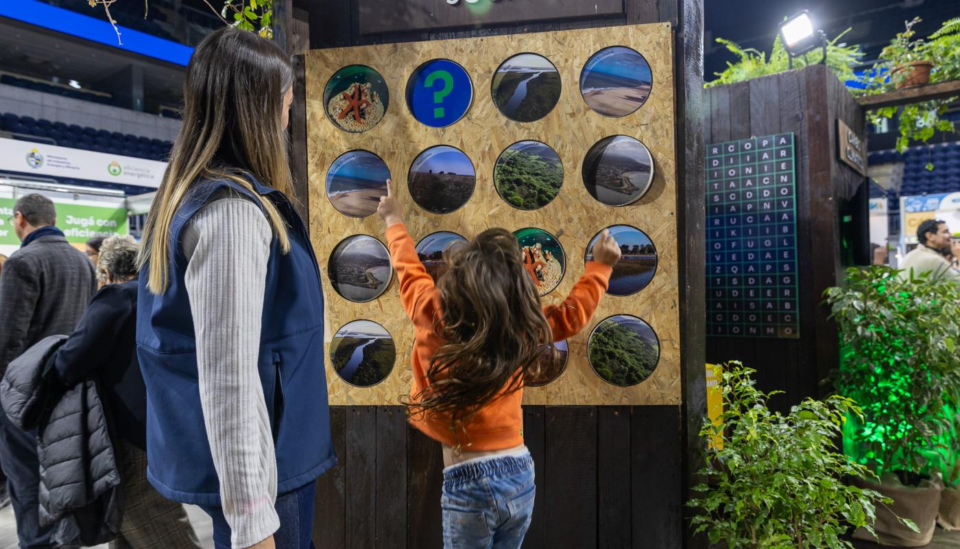 feria de sostenibilidad , de espalda una niña en un juego con imagenes naturales en un stand
