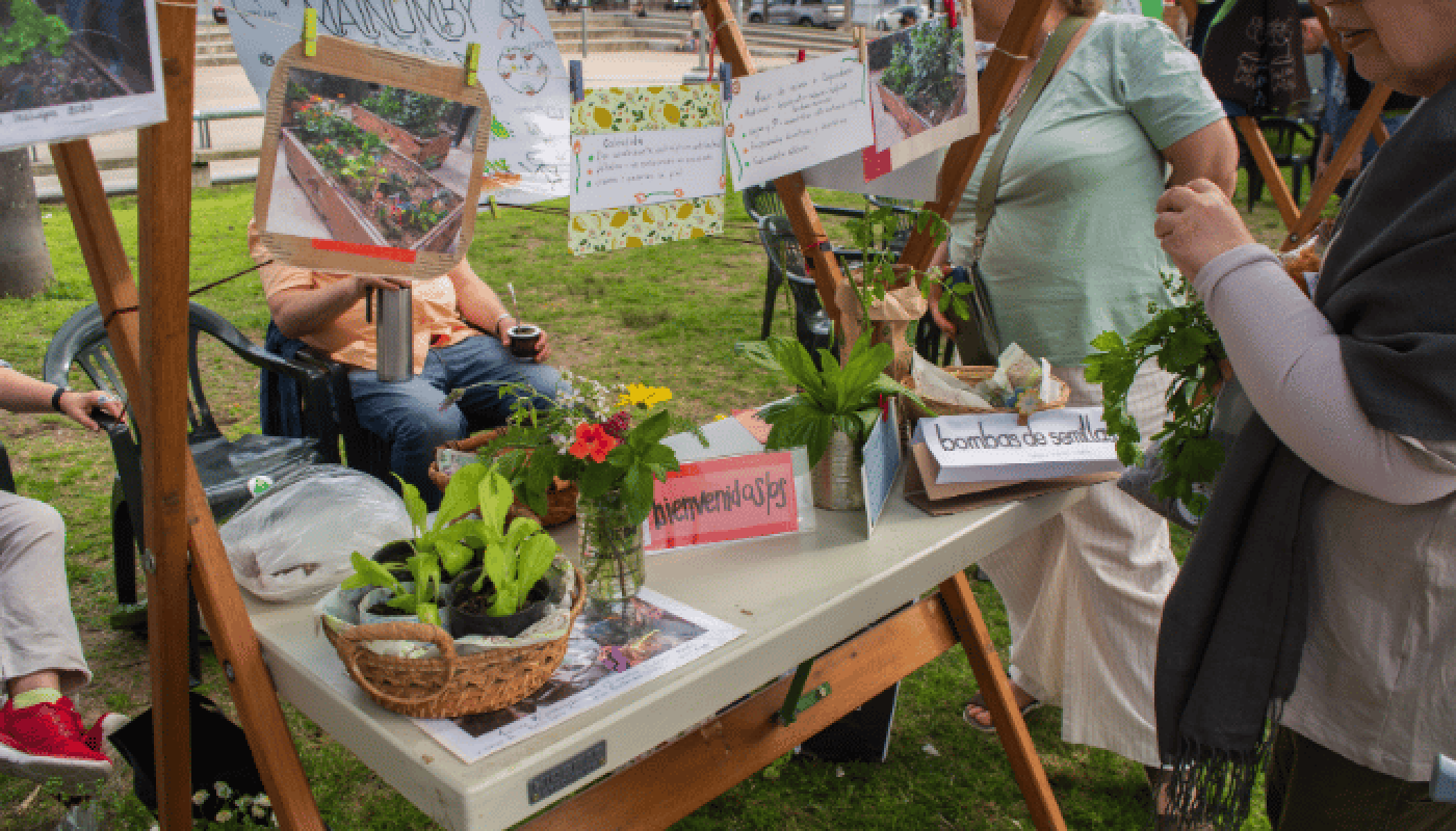 puesto de plantas organicas en plaza Cagancha
