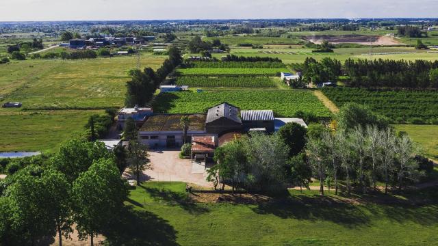 Bodega Castillo Viejo