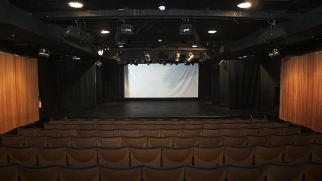 Sala principal con butacas beiges. En los costados paneles de madera para la acústica. Al frente escenario y pantalla para proyectar.