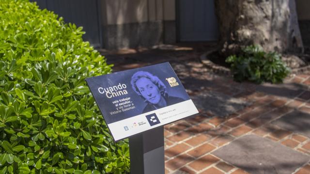 placa circuito china zorrilla