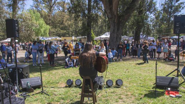 feria colectividades