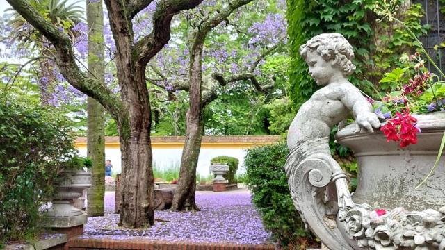 Foto del jardín botánico en epoca de primavera con sus flores y arboles eclosionando