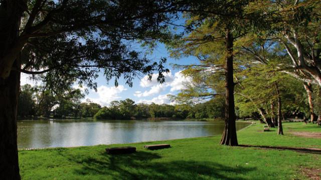 Foto del parque rivera con su lago al fondo y el arbolado