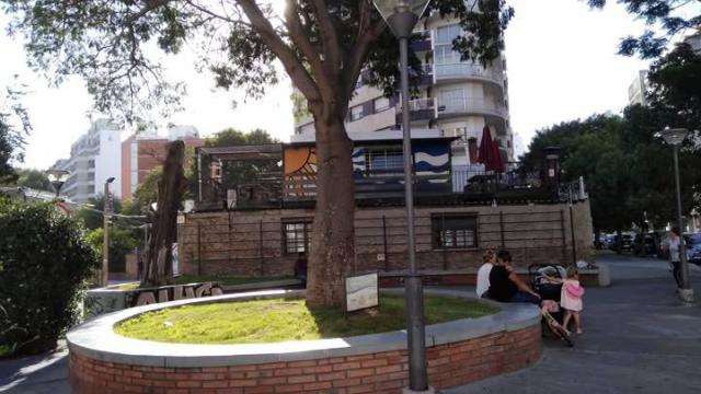 Foto de la plaza con el arbol en el centro de la misma