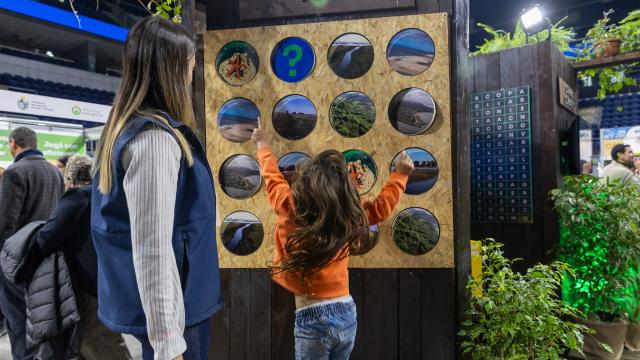 feria de sostenibilidad , de espalda una niña en un juego con imagenes naturales en un stand
