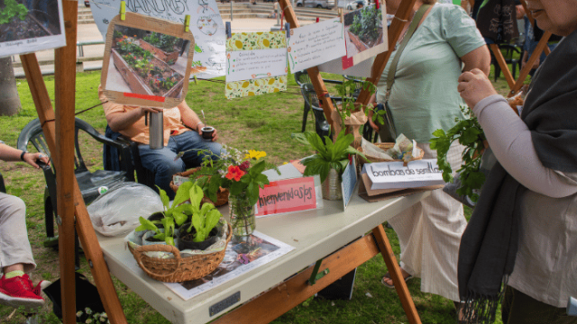 puesto de plantas organicas en plaza Cagancha