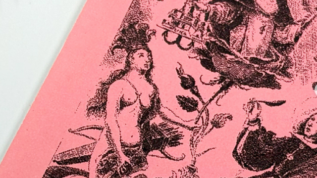 imagenes en sibujos con fondo rosa de la Virgen Santa rosa