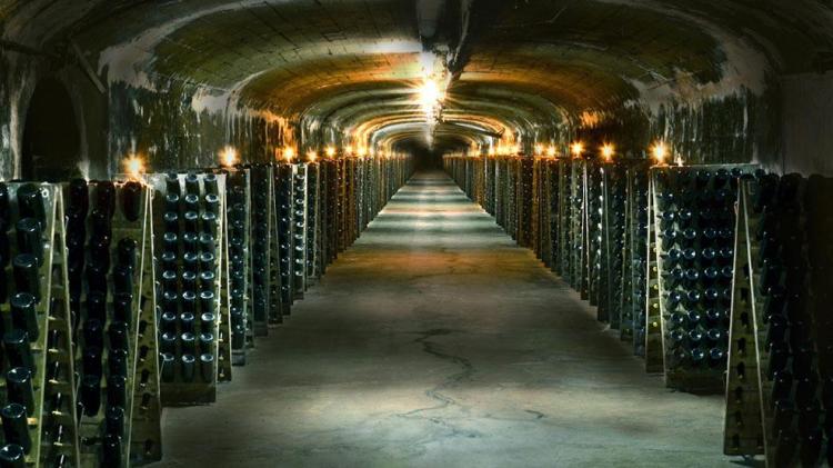 Bodega Santa Rosa