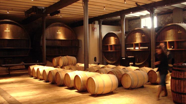 Cava con barriles de vino y toneles. 